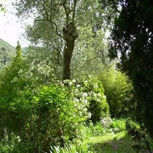 In centro - Mutino, 马萨罗萨 — 照片 5