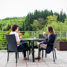 Spa Hotel Vila Antoaneta Luhacovice, Лугачовице — фото 5