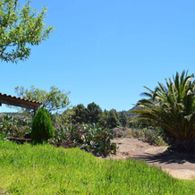 Casa Rural La Herbilla by Isla Bonita, Garafia — photo 4