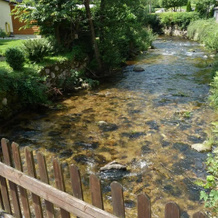 Landgasthof-Hotel-Rössle, 埃尔察赫 — 照片 3