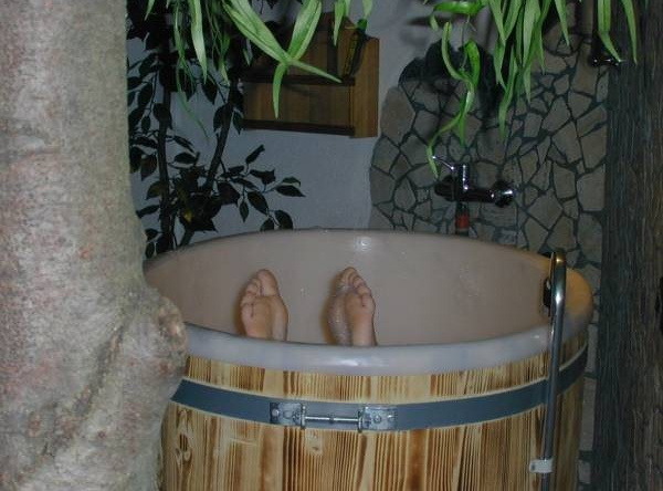 Wanderhotel Grüner Baum, 巴赫 — 照片 1