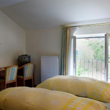 Zum Rosenbachschen Löwen, Hilders — photo 2