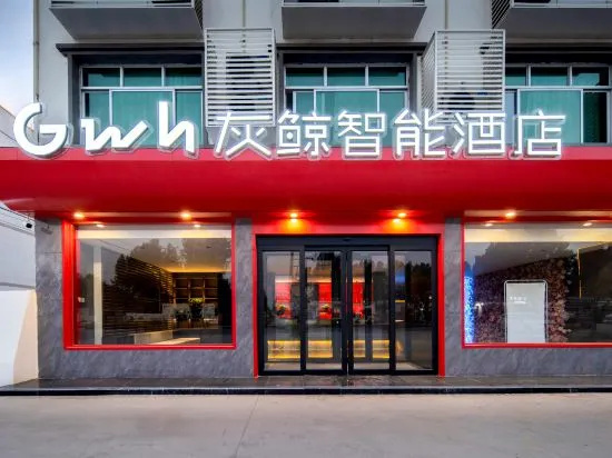 Gray Whale Smart Hotel (Xiong'an New District Anxin Baiyangdian Tourism Wharf Branch), Аньсинь — фото 1