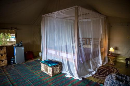 Firefly Ocean Camp, Shimoni — photo 1