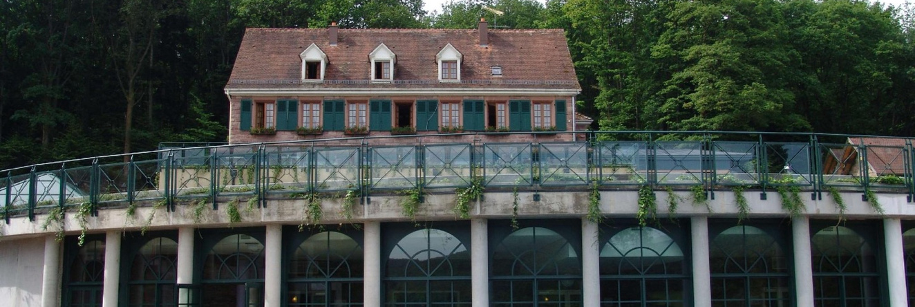 Hôtel & Spa Les Violettes, Юнгхольц — фото 1