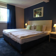 Hotel Pelikan, Kitzingen — photo 5