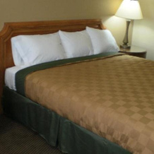 Executive Inn, 莫哈韦 — 照片 5