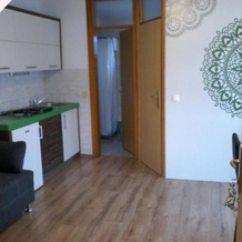 Apartment Panda, Доленьске Топлице — фото 2