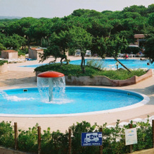 Camping Village Li Nibari, 索尔索 — 照片 5