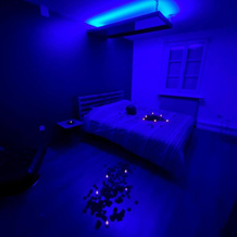 Evasion SPA Jacuzzi Sauna Home Cinema, Eckbolsheim — photo 4