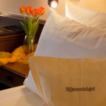 Hotel Sonnenhügel, 巴特贝文森 — 照片 2