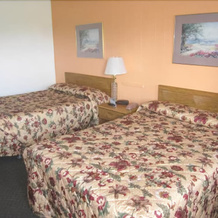 Red Carpet Inn Rome, 罗马 — 照片 5