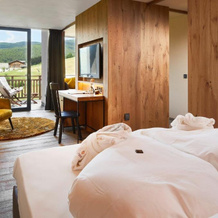 Sonnenberg | Panorama Dolomites Wellbeing, 里奥迪普斯泰里亚 — 照片 4