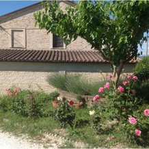 All'ombra degli Ulivi B&B, 奥斯特拉 — 照片 5