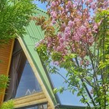 El Mundo Bungalove, Чынарджык — фото 5