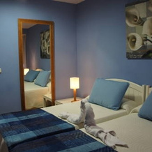 Hostal Alarico, 阿拉里斯 — 照片 3
