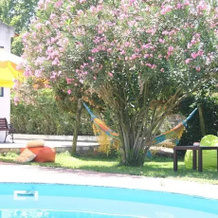Quinta Da Azervada De Cima, Коруше — фото 5