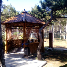 Aleksiya Guest House, 佩索奇诺耶 — 照片 2