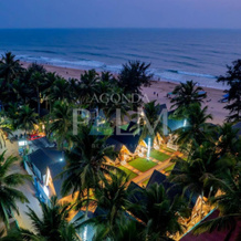 Agonda Palm Beach Resort, 南果阿 — 照片 4