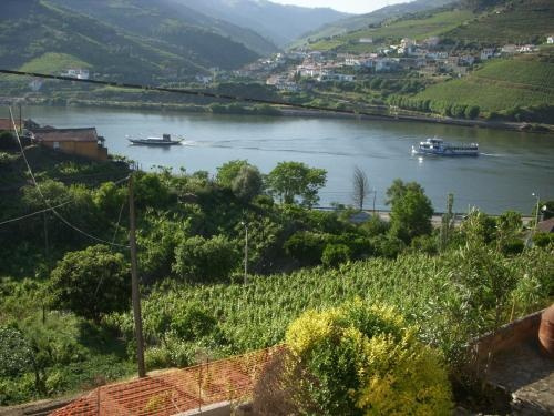 Quinta Da Azenha, Armamar — photo 1