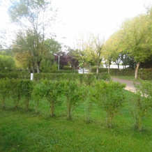 Bungalow des Calquières, Severac-d'Aveyron — photo 5
