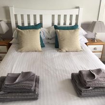 Southern Comfort Guest House, 基督城 — 照片 4