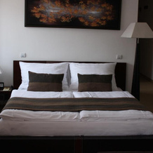 Hotel Troyer, 拉德霍什季山麓弗伦什塔特 — 照片 3