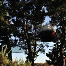 Les Nids Du Parcabout, Груа — фото 3