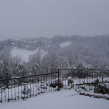 Volo Resort, Montecastrilli — photo 5