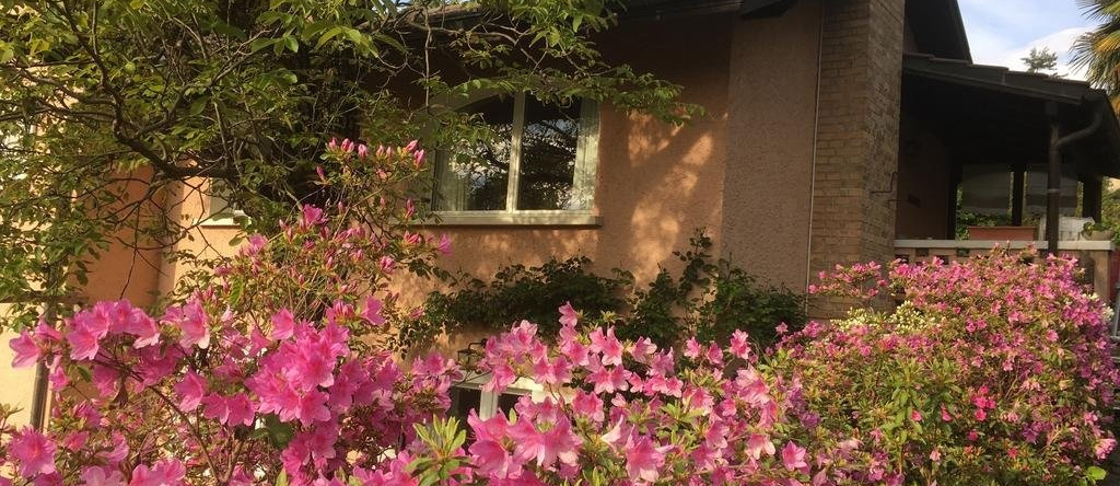 Casa Monttruc, Collina d'Oro — photo 1