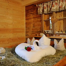 Landgut Moserhof, Кремс-ин-Кёрнтен — фото 5