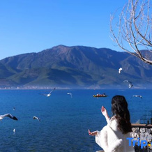 Lugu Lake Lanyu Homestay, 卢奥瓦 — 照片 4