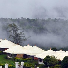 Thrisangu Haven Hill Resort, Куттикканам — фото 2
