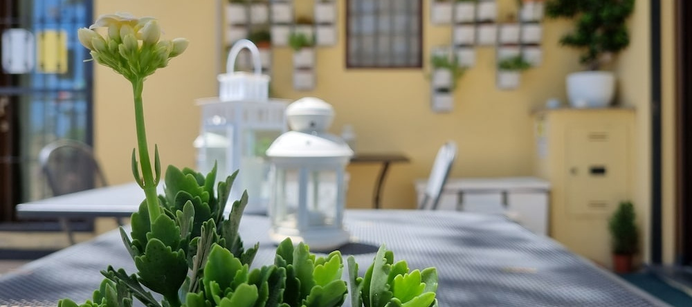 La Finestra Sul Colle B&B, 科莱萨尔韦蒂 — 照片 1