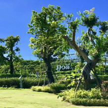 Phuwadee Resort Khao Yai, Пак Чонг — фото 5