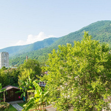Cottages in Gagra, Gagra — photo 2