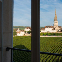 Château de Cîteaux - Fontenille Collection, 默尔索 — 照片 4