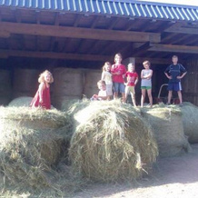 Willmannshof, Фуртванген — фото 2