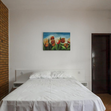 Pousada Villa Dal Ri, 纳韦甘蒂斯 — 照片 2