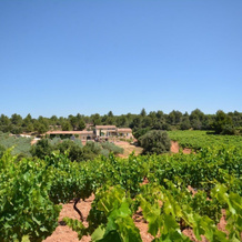 Domaine de Villemus, 茹克 — 照片 4