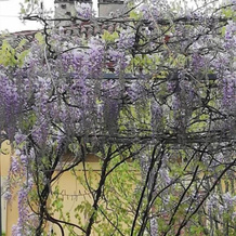 Lisander Bed & Breakfast, 塞伦戈 — 照片 5