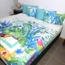 Nautilus Bed and Breakfast, 米申海滩 — 照片 5