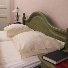 Hotel Gundelfinger Alter Markt, 丹嫩贝格 — 照片 2