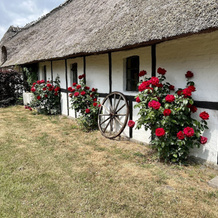 Enghavegaardens Bed & Breakfast, 尼堡 — 照片 5