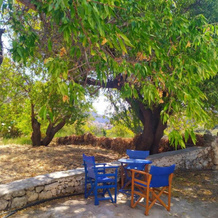 Almond Trees House, Аморгос — фото 5