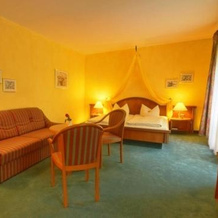 Meister Bär Hotel Vogtland, 福格特兰地区赖兴巴赫 — 照片 2