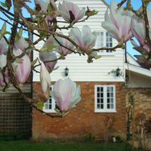 Little Dane Court, Tenterden — photo 2
