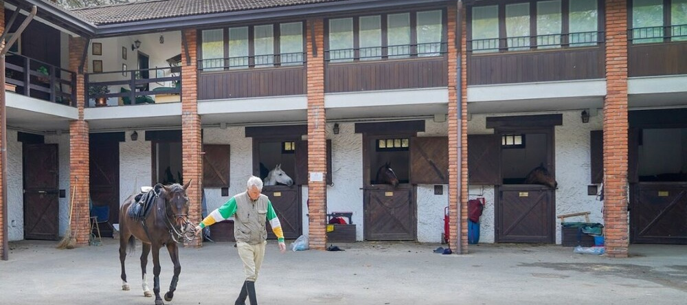 Agriturismo La Garzonera, 韦尔贾泰 — 照片 1