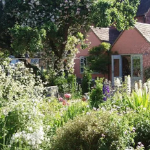 Ivydene House B&b, 里普尔 — 照片 2