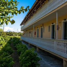 Nikos Studios Alykes, Пигадакия — фото 2